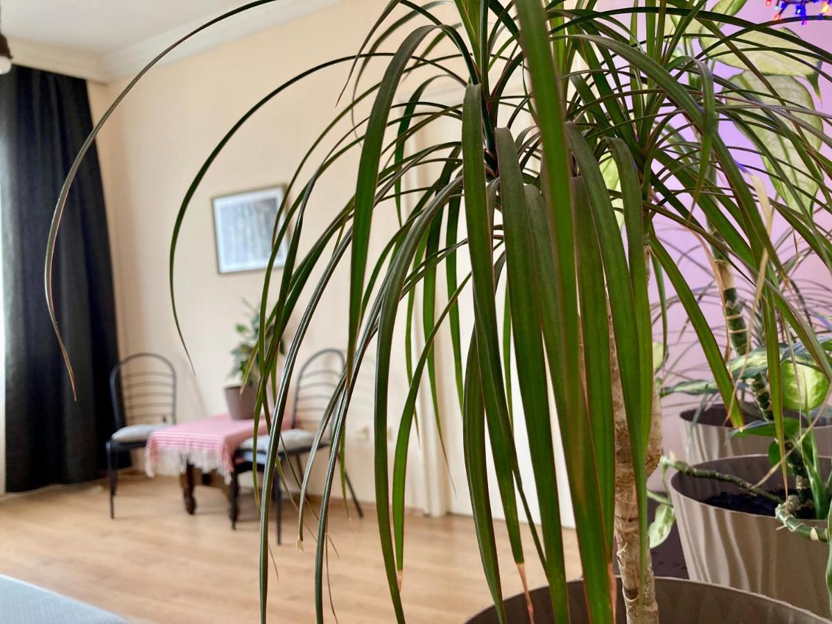 Terazije Square Lux Apartment Βελιγράδι Εξωτερικό φωτογραφία